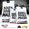 100% Whey Mass - 3000g